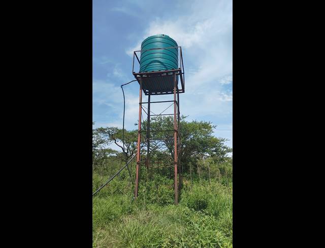 5HA FARM FOR SALE IN ELIM